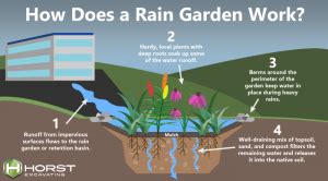 » Stormwater Management