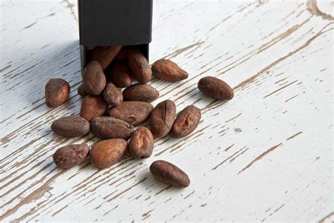 buy cacao seeds | Selling With reasonable prices - Arad Branding