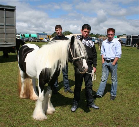 Horse Tribes : Stow Gypsy Horse Fair 2011. | Nicholas Bechgaard