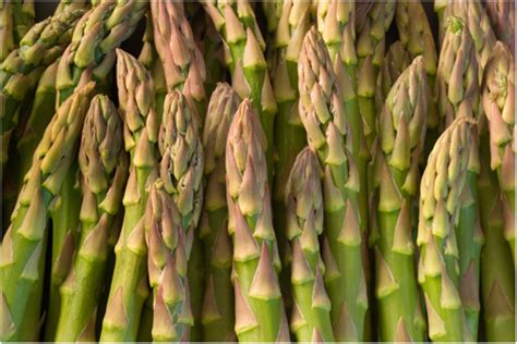 Amazon.com : Asparagus, Edible, Garden, Nutritional Delicious Vegetable (Porthos Asparagus, 100 ...