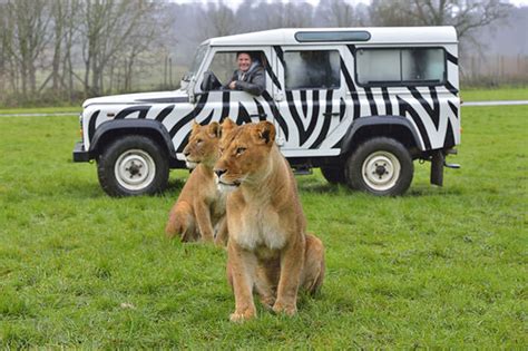 Longleat Tickets & Hotel Deals in 2021 [Updated]