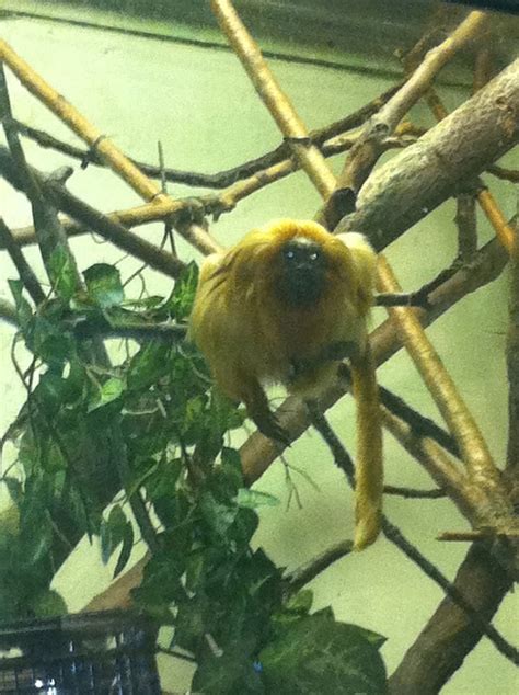 Brandywine Zoo - Zoos - Wilmington, DE - Yelp