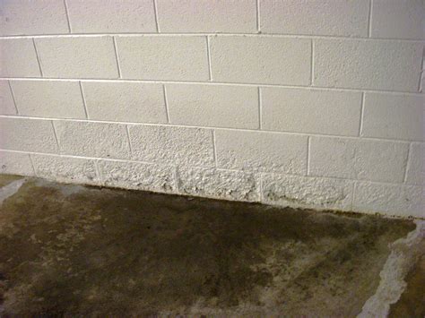 Best Waterproof Paint For Cinder Block Walls at Gene Madrigal blog