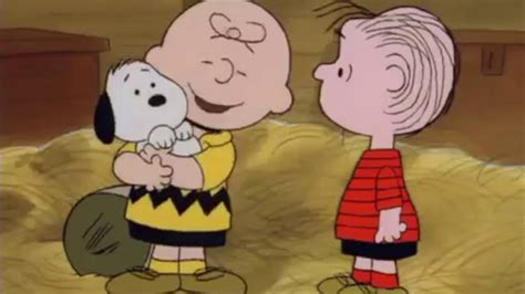 Charlie Brown meets Snoopy Cartoon Memes, Cartoon Shows, Cartoon Characters, Snoopy Family, Baby ...