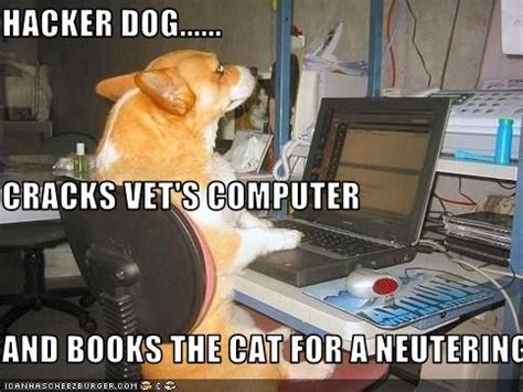 Career memes of the week: hacker - Careers | siliconrepublic.com ...