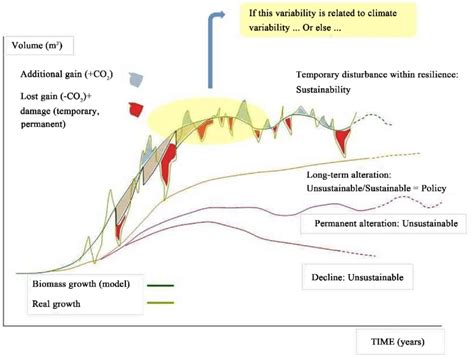 Timing and possible effects of silvicultural interventions and ...