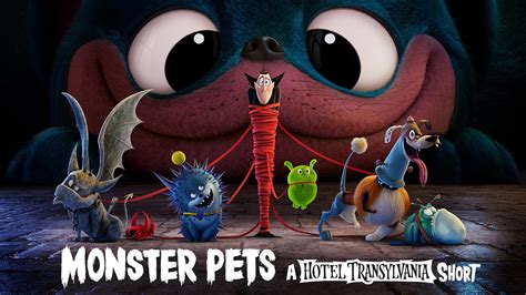 Prime Video: Monster Pets: A Hotel Transylvania Short Film