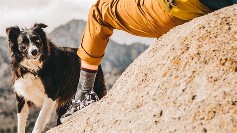 Warmest Socks for Winter 2022: Best Wool Socks for Walking, Hiking