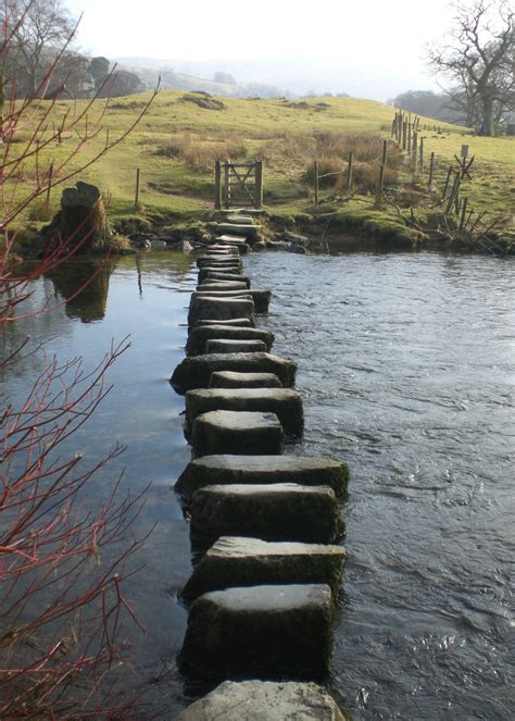 stepping stones are lined up along the water's edge