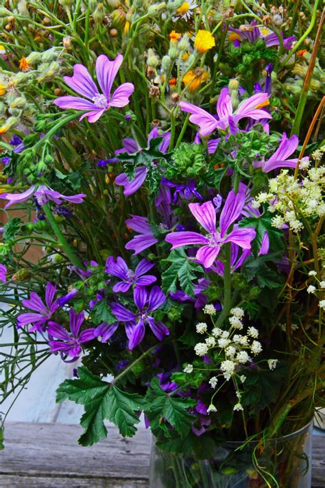 Free Images : white, old, background, wooden, bouquet, vase, life ...