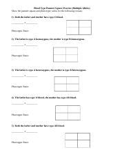 Blood-Type-Punnett-Square-Practice.doc - Blood Type Punnett Square ...