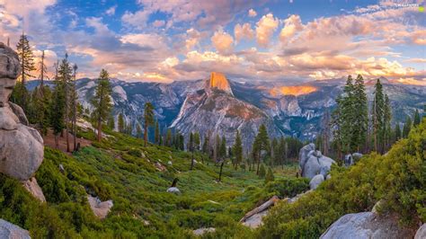 State of California, The United States, Yosemite National Park, trees, Sierra Nevada, clouds ...