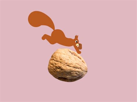 Running squirrel by Judith Cornejo on Dribbble