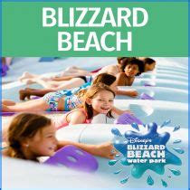 Disneys Blizzard Beach Tickets - Orlando Theme Parks | BestofOrlando.com