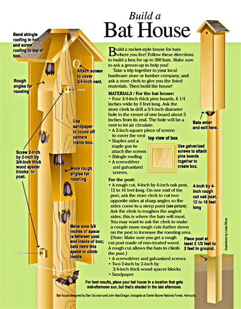 Batpage.GIF (240577 bytes) | Bat house, Build a bat house, Bat house plans