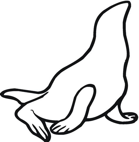 Sea Lion Outline