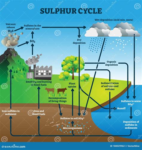 Sulphur Cycle Vector Illustration. Labeled Geological Earth Elements ...