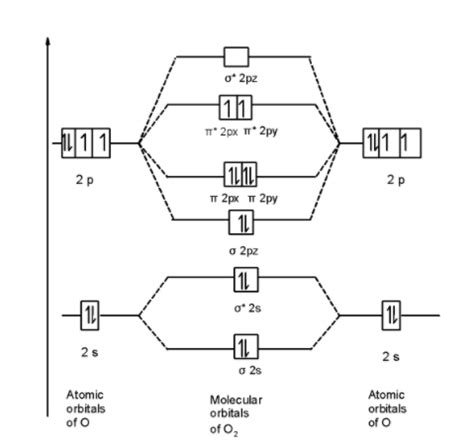 Draw the valence shell molecular orbital diagram of the oxygen molecule and predict its magnetic ...