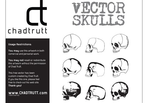 Human Skulls - Download Free Vector Art, Stock Graphics & Images