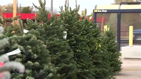 Where to Recycle Your Christmas Tree in San Diego – NBC 7 San Diego