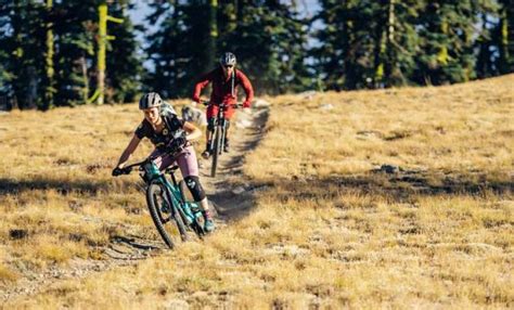 Essential Mountain Bike Skills for Beginners and Improvers - Cool of ...