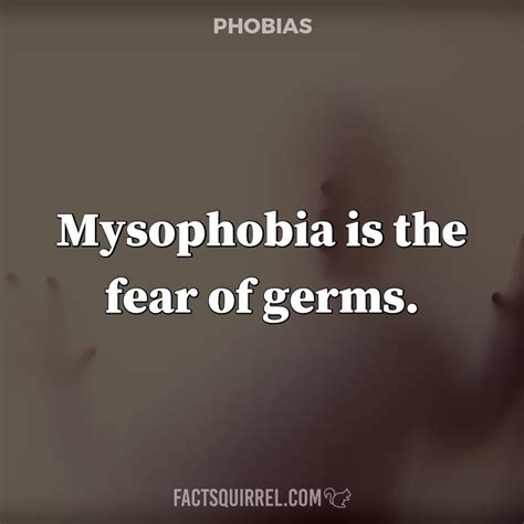 Mysophobia is the fear of germs - Fact Squirrel