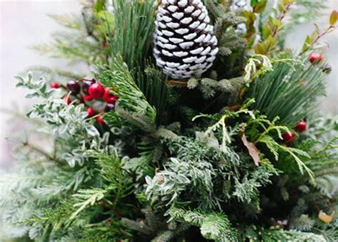 Holiday Planters and Fresh Wreaths | Traditions start at Platt Hill Nursery