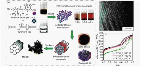 Synthesis of mesoporous carbon materials from renewable plant polyphenols for environmental and ...