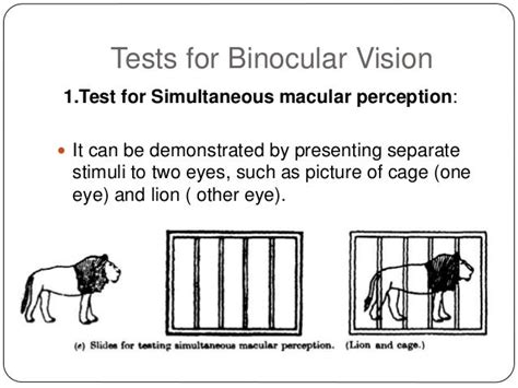 Binocular vision