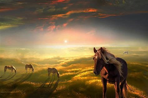 Wild Horses, sun, horse, clouds, sky, landscape, mist, HD wallpaper | Peakpx