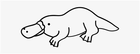 Download About Us - Platypus Outline | Transparent PNG Download | SeekPNG