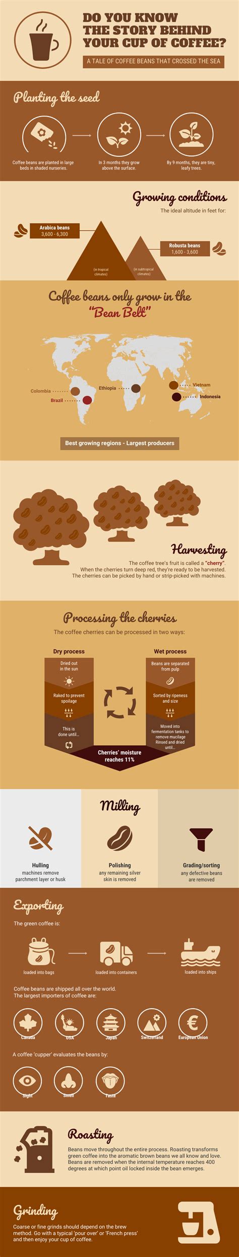 Story Behind Your Cup of Coffee Infographic Template - Venngage