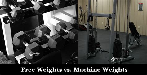 Free Weights Vs. Machine Weights - Which Of The 2 Wins The Iron Battle ...