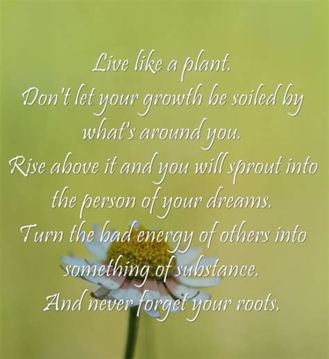 Live like a plant #life #quote | How to memorize things, Memorable quotes, Me quotes