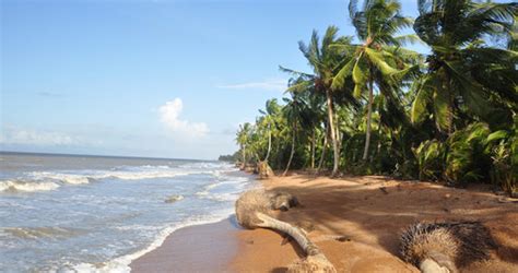 Barima-Waini (Shell Beach) – Things Guyana