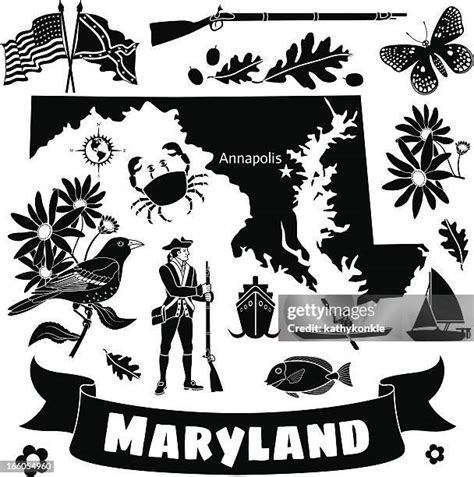 Maryland State Symbols Photos and Premium High Res Pictures - Getty Images