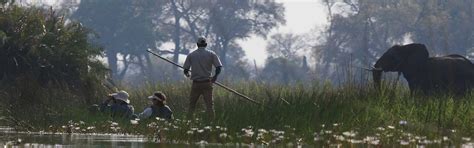 Botswana Wildlife Safari & Birding Tour 2021 - Birdwatching in Botswana | Naturalist Journeys