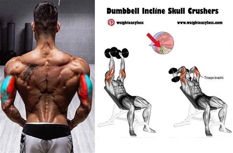 Dumbbell Incline Skull Crushers | Arm workout, Full arm workout, Superset arm workout