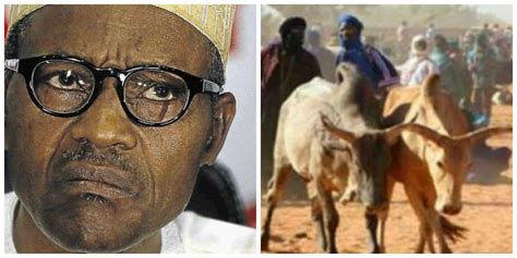 We will soon find lasting solution to Fulani herdsmen problem ...