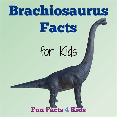 Fun Brachiosaurus Facts for Kids – Fun Facts 4 Kids