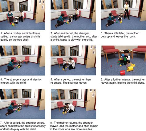 Attachment in the early years: Figure 10 The Strange Situation episodes ...