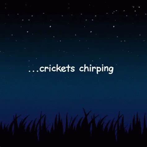 Crickets Chirping Night GIF - CricketsChirping Night - Discover & Share GIFs