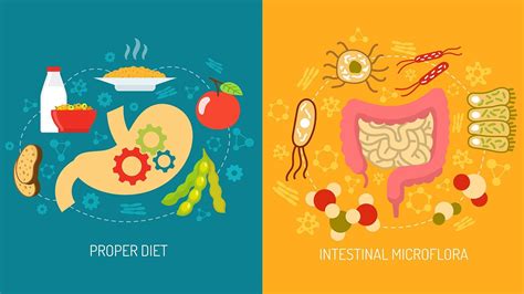 How Your Gut Microbiome May Affect Diabetes | Everyday Health