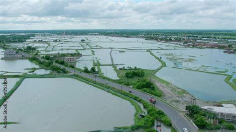 Drone Shots of Sundarbans, West Bengal Stock Video | Adobe Stock