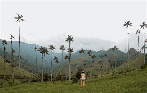 Updated 2020 | Our Guide to Hiking Valle de Cocora — ALONG DUSTY ROADS