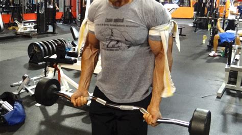 » Does Blood Flow Restriction Increase Muscle When Combined With ...