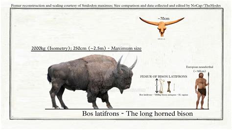 Bison Latifrons, The long horned bison. by TheModes on DeviantArt