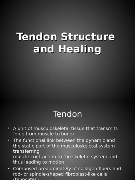 Tendon healing | Tendon | Healing