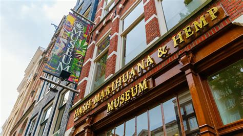 The Best Museums To Visit In Amsterdam