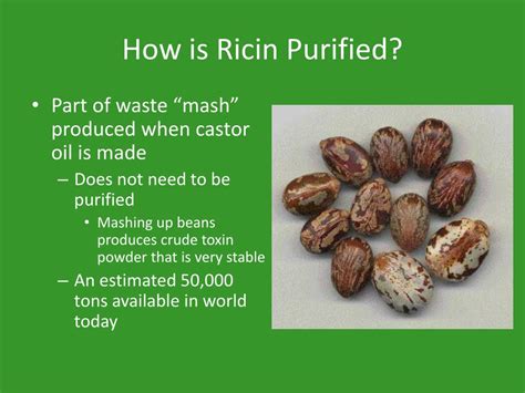 PPT - Ricin PowerPoint Presentation, free download - ID:1605357